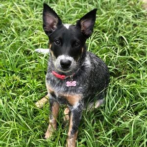 Meet your Posher, Maryssa